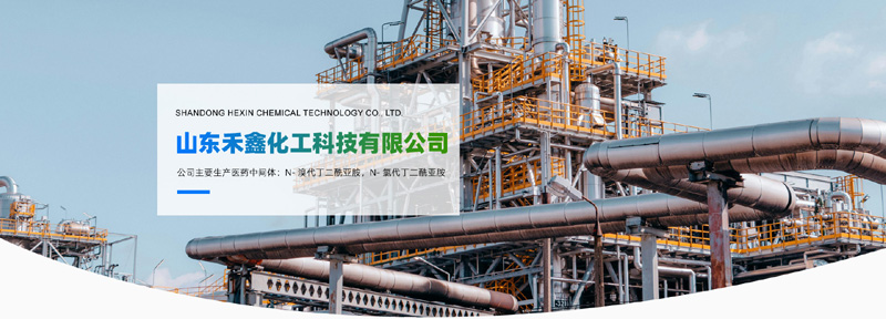 山东禾鑫化工科技有限公司