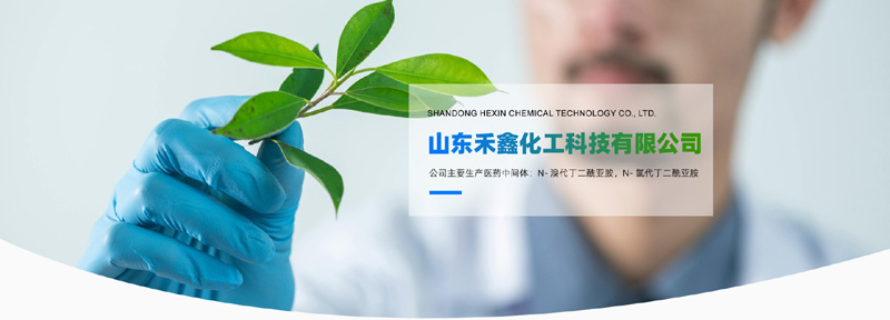 山东禾鑫化工科技有限公司